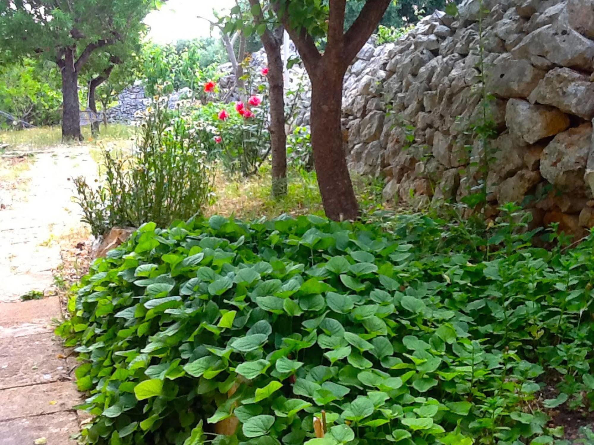 Masseria Nenetta Bed And Breakfast Monopoli Exterior foto